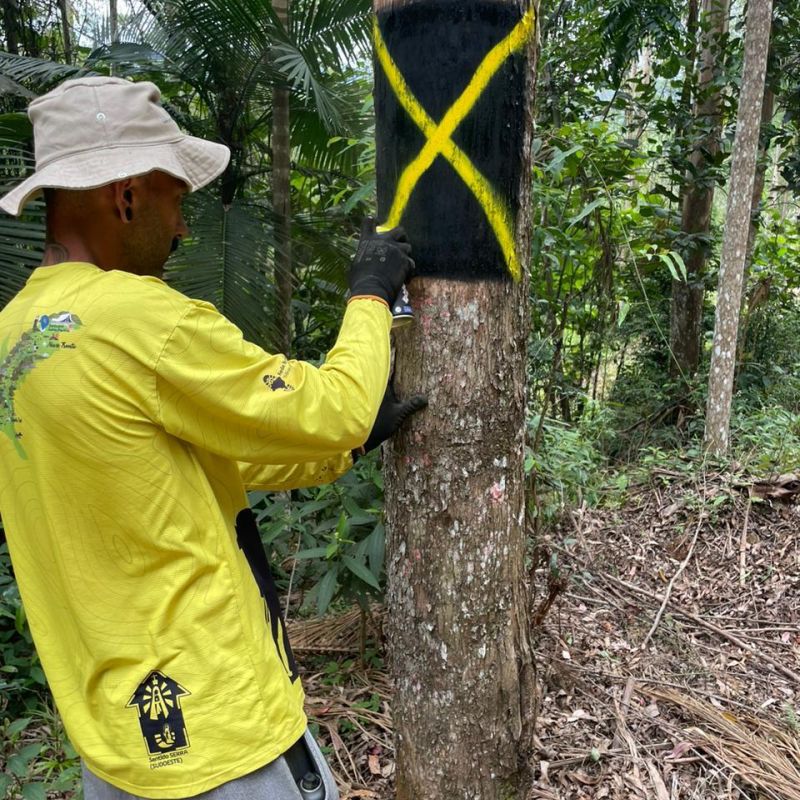 Sinalização Negativa